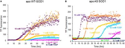 A Novel SOD1 Intermediate Oligomer, Role of Free Thiols and Disulfide Exchange